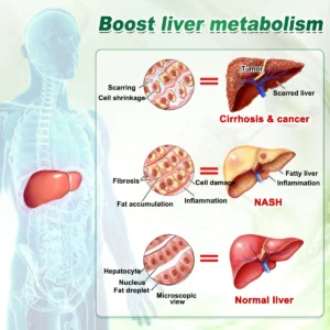 Curalona® Lymphatic Detox × Berberine 12-in-1 Sculpting Serum