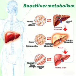 Curalona® Triple Action Microneedle Patch – Berberine & NAD+ for Metabolic Support